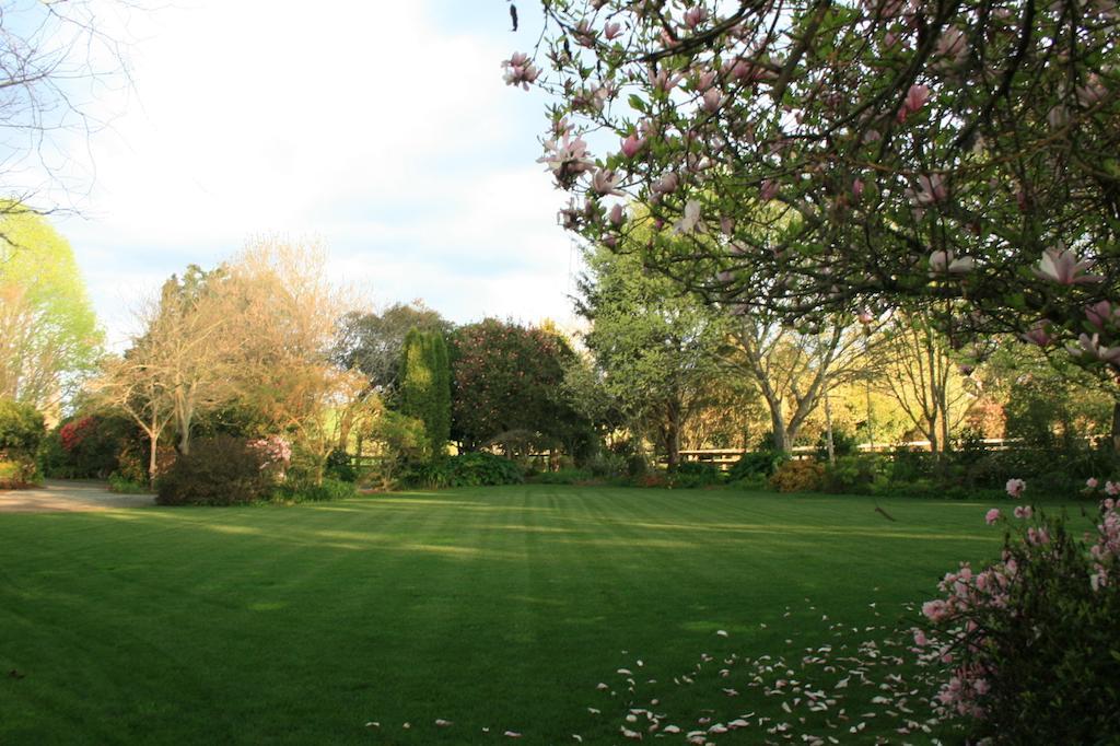 Lexington Park Cottages Cambridge Bagian luar foto