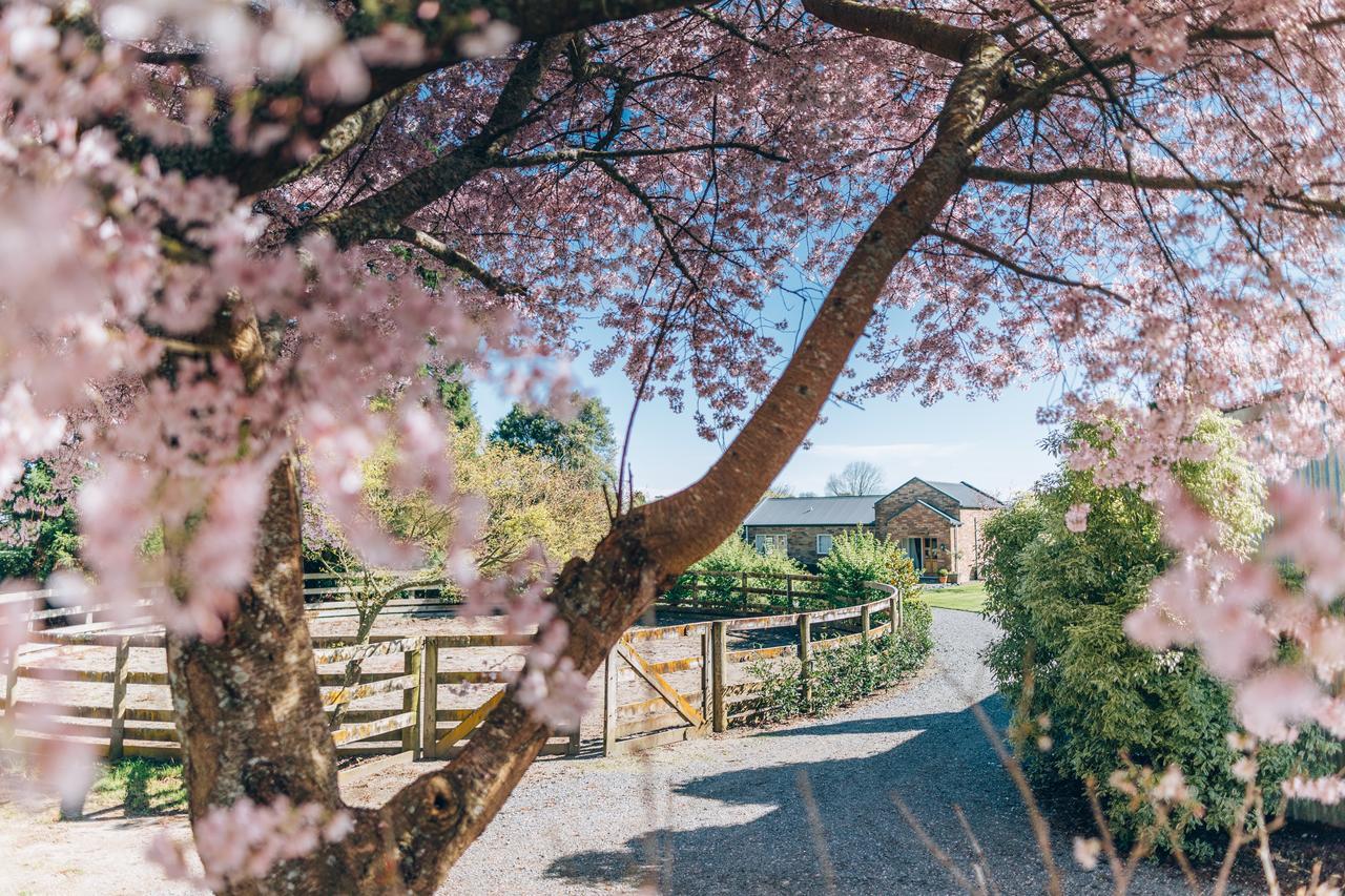 Lexington Park Cottages Cambridge Bagian luar foto