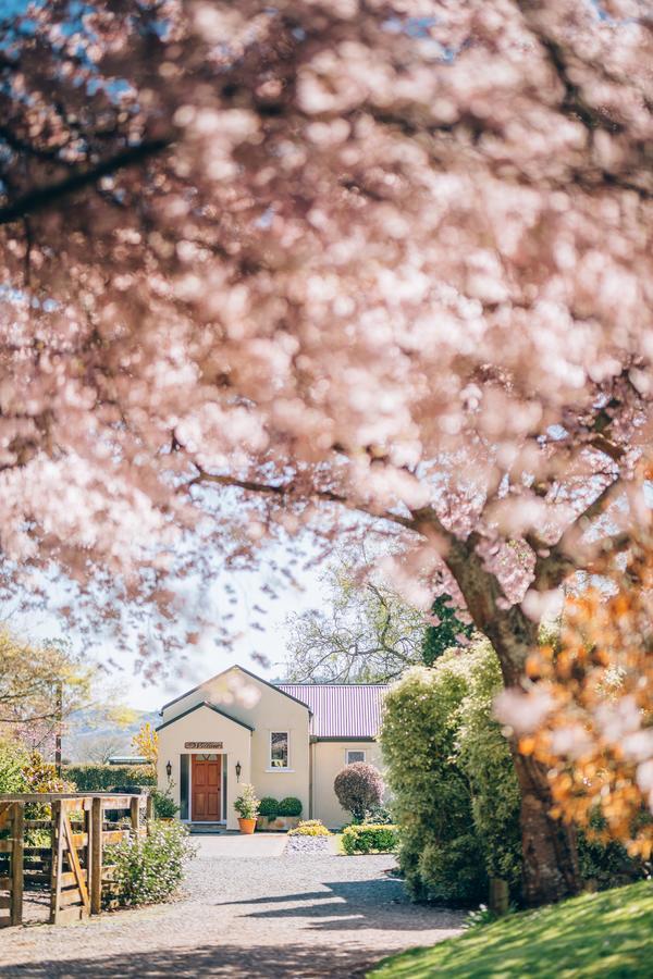 Lexington Park Cottages Cambridge Bagian luar foto